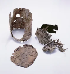 Birch-bark container found with the Oetzi Iceman